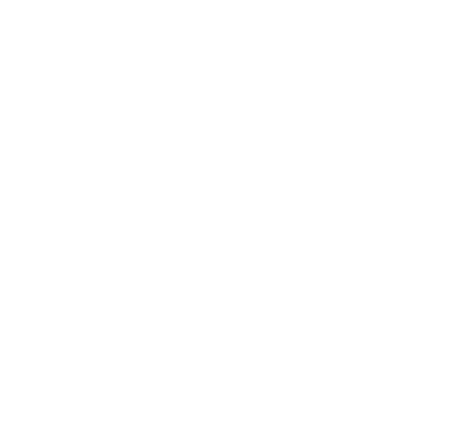 Ferplay